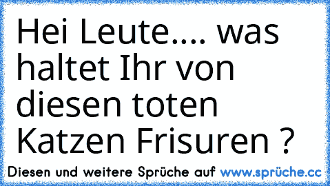 Hei Leute.... was haltet Ihr von diesen toten Katzen Frisuren ?