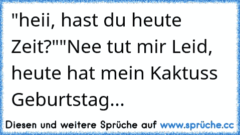 "heii, hast du heute Zeit?"
"Nee tut mir Leid, heute hat mein Kaktuss Geburtstag...