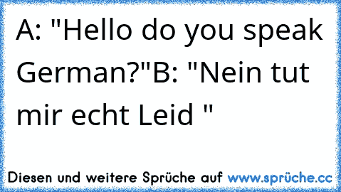 A: "Hello do you speak German?"
B: "Nein tut mir echt Leid "