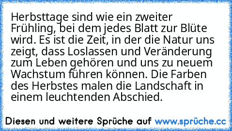 Herbsttage sind wie ein zweiter Frühling, bei dem jedes Blatt zur Blüte wird. Es ist die Zeit, in der die Natur uns zeigt, dass Loslassen und Veränderung zum Leben gehören und uns zu neuem Wachstum führen können. Die Farben des Herbstes malen die Landschaft in einem leuchtenden Abschied.