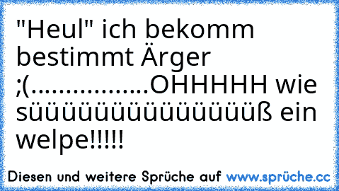 "Heul" ich bekomm bestimmt Ärger ;(
.................
OHHHHH wie süüüüüüüüüüüüüüß ein welpe!!!!!