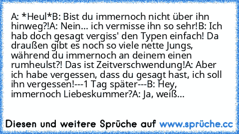 A: *Heul*
B: Bist du immernoch nicht über ihn hinweg?!
A: Nein... ich vermisse ihn so sehr!
B: Ich hab doch gesagt vergiss' den Typen einfach! Da draußen gibt es noch so viele nette Jungs, während du immernoch an deinem einen rumheulst?! Das ist Zeitverschwendung!
A: Aber ich habe vergessen, dass du gesagt hast, ich soll ihn vergessen!
---1 Tag später---
B: Hey, immernoch Liebeskummer?
A: Ja, w...