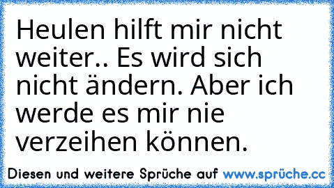 Heulen hilft mir nicht weiter.. Es wird sich nicht ändern. Aber ich werde es mir nie verzeihen können.