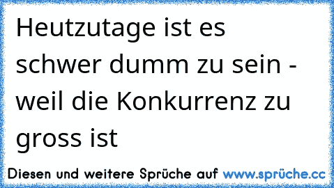 Heutzutage ist es schwer dumm zu sein - weil die Konkurrenz zu gross ist