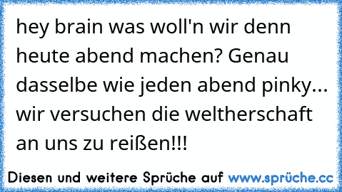 hey brain was woll'n wir denn heute abend machen? Genau dasselbe wie jeden abend pinky... wir versuchen die weltherschaft an uns zu reißen!!!