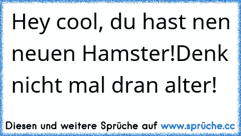 Hey cool, du hast nen neuen Hamster!
Denk nicht mal dran alter!