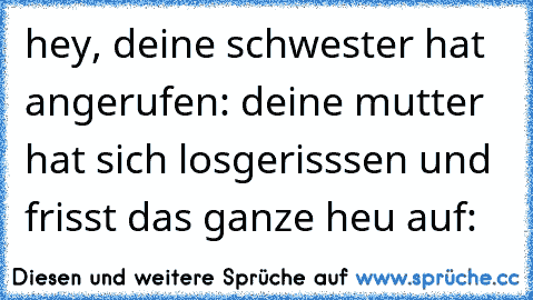 hey, deine schwester hat angerufen: deine mutter hat sich losgerisssen und frisst das ganze heu auf: