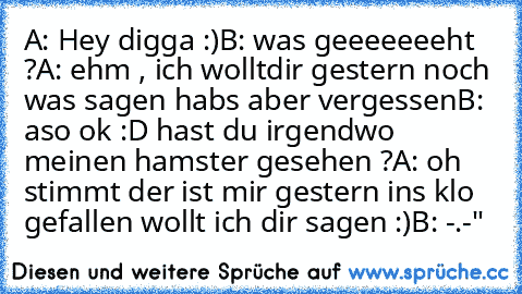 A: Hey digga :)
B: was geeeeeeeht ?
A: ehm , ich wolltdir gestern noch was sagen habs aber vergessen
B: aso ok :D hast du irgendwo meinen hamster gesehen ?
A: oh stimmt der ist mir gestern ins klo gefallen wollt ich dir sagen :)
B: -.-"