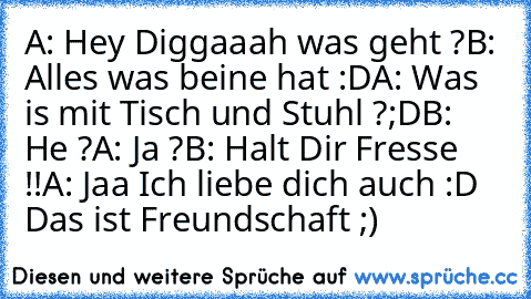 A: Hey Diggaaah was geht ?
B: Alles was beine hat :D
A: Was is mit Tisch und Stuhl ?;D
B: He ?
A: Ja ?
B: Halt Dir Fresse !!
A: Jaa Ich liebe dich auch :D 
Das ist Freundschaft ;)