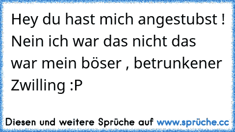 Hey du hast mich angestubst ! Nein ich war das nicht das war mein böser , betrunkener Zwilling :P