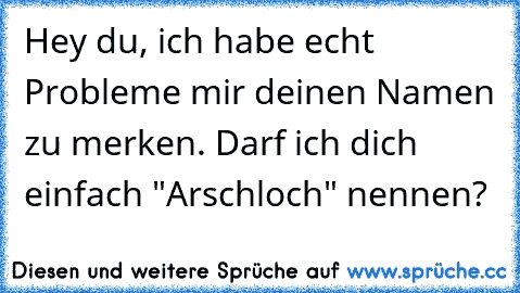 Hey du, ich habe echt Probleme mir deinen Namen zu merken. Darf ich dich einfach "Arschloch" nennen?