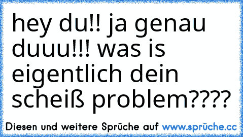 hey du!! ja genau duuu!!! was is eigentlich dein scheiß problem????