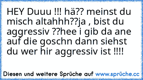 HEY Duuu !!! 
hä?? meinst du misch altahhh??
ja , bist du aggressiv ??
hee i gib da ane auf die goschn dann siehst du wer hir aggressiv ist !!!!