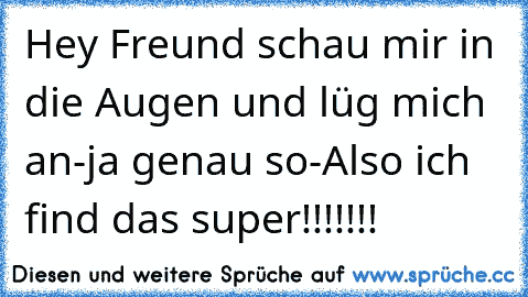 Hey Freund schau mir in die Augen und lüg mich an-ja genau so-Also ich find das super!!!!!!!