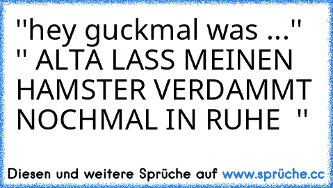 ''hey guckmal was ...'' 
'' ALTA LASS MEINEN HAMSTER VERDAMMT NOCHMAL IN RUHE  ''