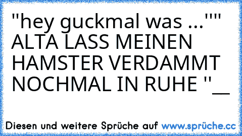 ''hey guckmal was ...''
'' ALTA LASS MEINEN HAMSTER VERDAMMT NOCHMAL IN RUHE ''
__