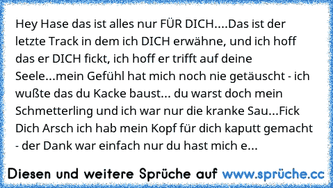 Hey Hase das ist alles nur FÜR DICH....
Das ist der letzte Track in dem ich DICH erwähne, und ich hoff das er DICH fickt, ich hoff er trifft auf deine Seele...
mein Gefühl hat mich noch nie getäuscht - ich wußte das du Kacke baust... du warst doch mein Schmetterling und ich war nur die kranke Sau...
Fick Dich Arsch ich hab mein Kopf für dich kaputt gemacht - der Dank war einfach nur du hast mic...