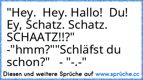 "Hey.  Hey. Hallo!  Du!  Ey, Schatz. Schatz. SCHAATZ!!?"
 -"hmm?"
"Schläfst du schon?"
   - "-.-"