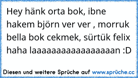 Hey hänk orta bok, ibne hakem björn ver ver , morruk bella bok cekmek, sürtük felix haha laaaaaaaaaaaaaaaaan :D