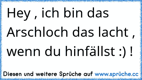 Hey , ich bin das Arschloch das lacht , wenn du hinfällst :) !