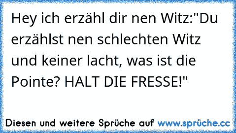 Hey ich erzähl dir nen Witz:"Du erzählst nen schlechten Witz und keiner lacht, was ist die Pointe? HALT DIE FRESSE!"