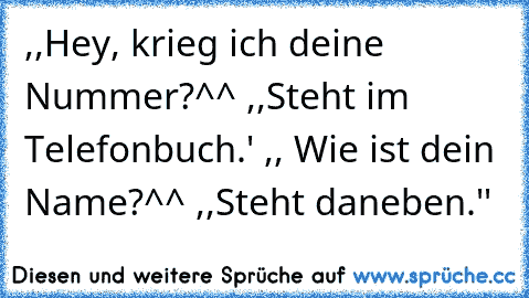 ,,Hey, krieg ich deine Nummer?^^ ,,Steht im Telefonbuch.´' ,, Wie ist dein Name?^^ ,,Steht daneben.''