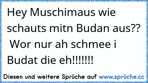 Hey Muschimaus wie schauts mitn Budan aus??  Wor nur ah schmee i Budat die eh!!!!!!!