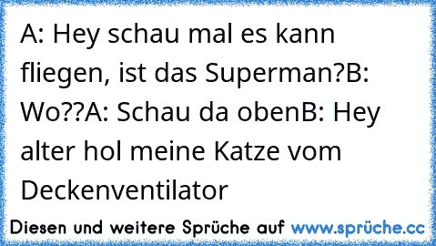 A: Hey schau mal es kann fliegen, ist das Superman?
B: Wo??
A: Schau da oben
B: Hey alter hol meine Katze vom Deckenventilator