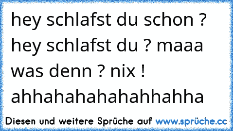 hey schlafst du schon ? hey schlafst du ? maaa was denn ? nix ! ahhahahahahahhahha