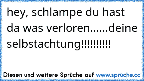 hey, schlampe du hast da was verloren......deine selbstachtung!!!!!!!!!!