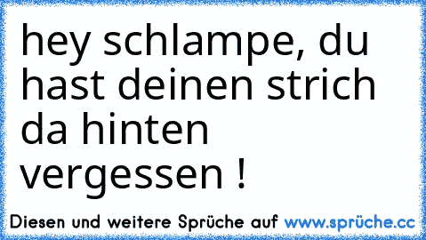 hey schlampe, du hast deinen strich da hinten vergessen !