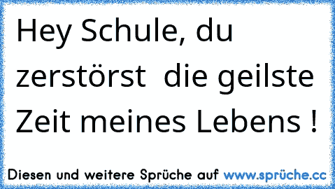 Hey Schule, du zerstörst  die geilste Zeit meines Lebens !