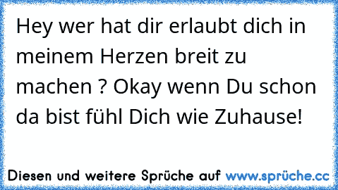 Hey wer hat dir erlaubt dich in meinem Herzen breit zu machen ? Okay wenn Du schon da bist fühl Dich wie Zuhause!