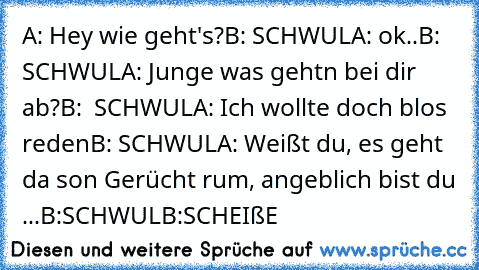 A: Hey wie geht's?
B: SCHWUL
A: ok..
B: SCHWUL
A: Junge was gehtn bei dir ab?
B:  SCHWUL
A: Ich wollte doch blos reden
B: SCHWUL
A: Weißt du, es geht da son Gerücht rum, angeblich bist du ...
B:SCHWUL
B:SCHEIßE