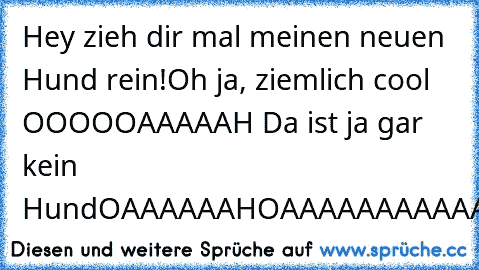 Hey zieh dir mal meinen neuen Hund rein!
Oh ja, ziemlich cool OOOOOAAAAAH Da ist ja gar kein Hund
OAAAAAAH
OAAAAAAAAAAAAH
OOOOOAAAAAAHHH