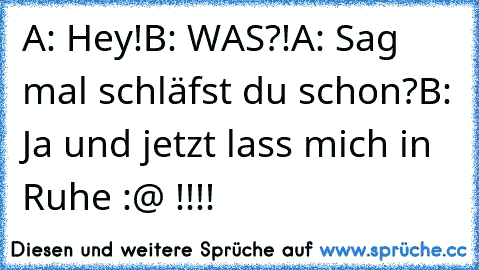 A: Hey!
B: WAS?!
A: Sag mal schläfst du schon?
B: Ja und jetzt lass mich in Ruhe :@ !!!!