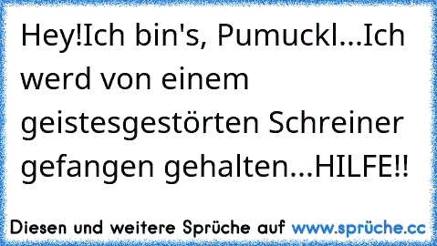 Hey!
Ich bin's, Pumuckl...
Ich werd von einem geistesgestörten Schreiner gefangen gehalten...
HILFE!!