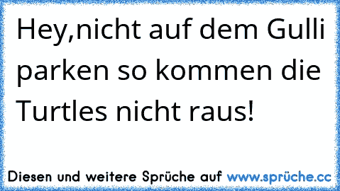 Hey,nicht auf dem Gulli parken so kommen die Turtles nicht raus!