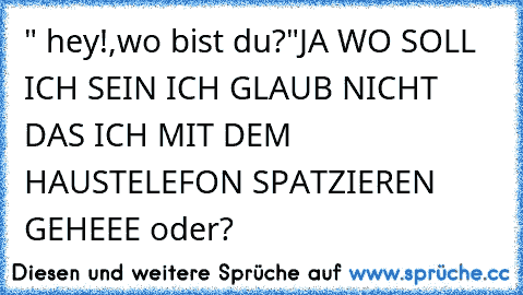 " hey!,wo bist du?"
JA WO SOLL ICH SEIN ICH GLAUB NICHT DAS ICH MIT DEM HAUSTELEFON SPATZIEREN GEHEEE oder?