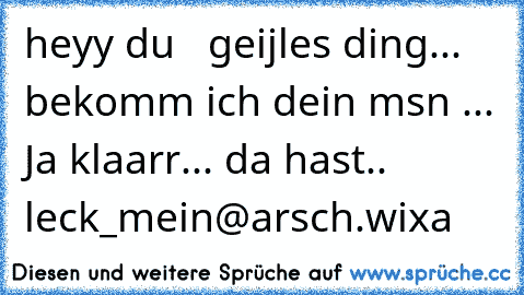 heyy du   geijles ding... bekomm ich dein msn ... Ja klaarr... da hast.. leck_mein@arsch.wixa