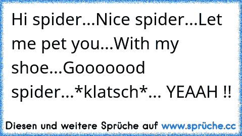 Hi spider...Nice spider...Let me pet you...With my shoe...Gooooood spider...*klatsch*... YEAAH !!