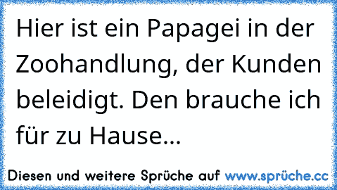 Hier ist ein Papagei in der Zoohandlung, der Kunden beleidigt. Den brauche ich für zu Hause...