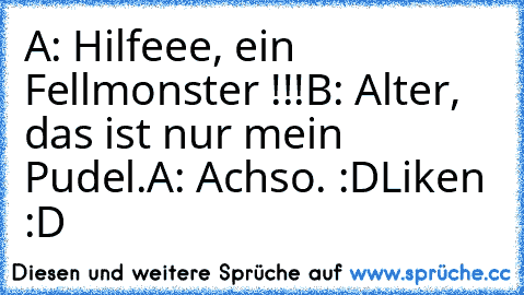 A: Hilfeee, ein Fellmonster !!!
B: Alter, das ist nur mein Pudel.
A: Achso. :D
Liken ♥ :D