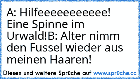 A: Hilfeeeeeeeeeee! Eine Spinne im Urwald!
B: Alter nimm den Fussel wieder aus meinen Haaren!