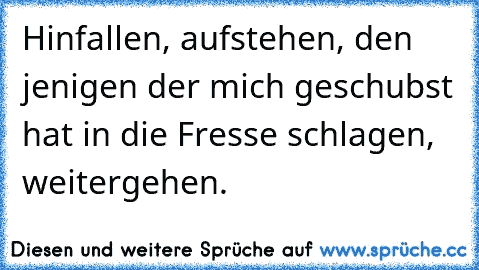 Hinfallen, aufstehen, den jenigen der mich geschubst hat in die Fresse schlagen, weitergehen. ♥