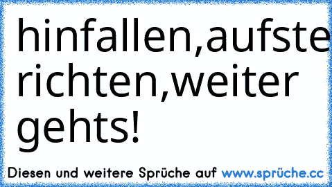 hinfallen,
aufstehen,
krone richten,
weiter gehts!