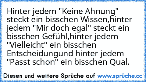 Hinter jedem "Keine Ahnung" steckt ein bisschen Wissen,
hinter jedem "Mir doch egal" steckt ein bisschen Gefühl,
hinter jedem "Vielleicht" ein bisschen Entscheidung
und hinter jedem "Passt schon" ein bisschen Qual.