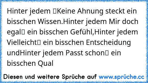 Hinter jedem “Keine Ahnung” steckt ein bisschen Wissen.
Hinter jedem „Mir doch egal“ ein bisschen Gefühl,
Hinter jedem „Vielleicht“ ein bisschen Entscheidung und
Hinter jedem „Passt schon“ ein bisschen Qual ♥