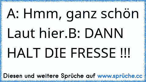 A: Hmm, ganz schön Laut hier.
B: DANN HALT DIE FRESSE !!!