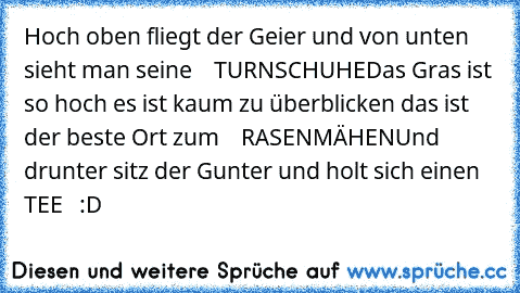 Hoch oben fliegt der Geier und von unten sieht man seine    TURNSCHUHE
Das Gras ist so hoch es ist kaum zu überblicken das ist der beste Ort zum    RASENMÄHEN
Und drunter sitz der Gunter und holt sich einen
 TEE   :D